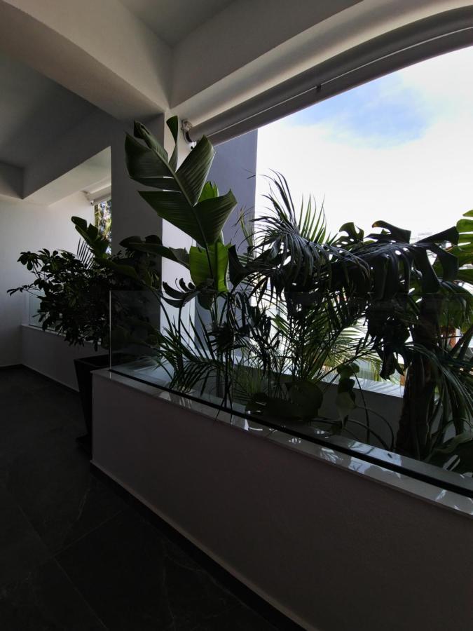 Carisa Deluxe Apartment With Jacuzzi Larnaca Luaran gambar